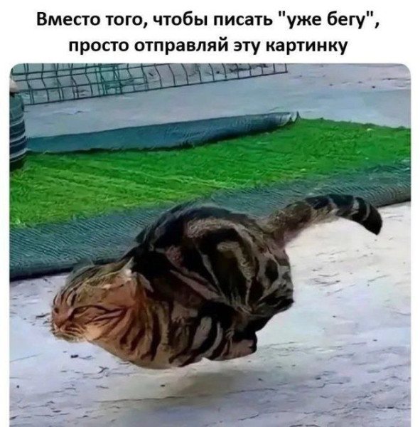Мем